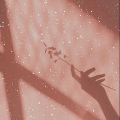 the shadow of a person's hand holding a flower in front of a star filled sky