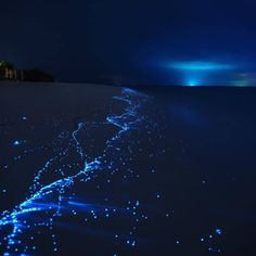 some blue lights are shining on the sand at night, and there is no image here to provide a caption for