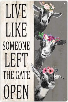 a sign that says live like someone left the gate open and three goats with flowers on their heads