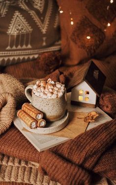 hot chocolate and marshmallows in a mug on a cozy blanket