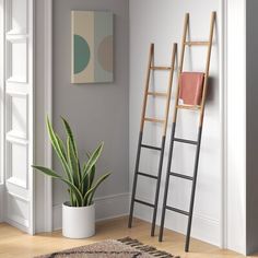 a ladder leaning against the wall next to a potted plant in a living room