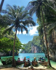 boats are parked on the beach next to some palm trees and cliffs in the water