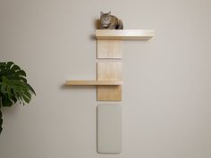 a cat sitting on top of a wooden shelf next to a potted green plant