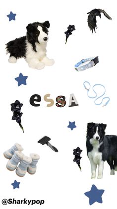 a collage of various items including shoes, socks and a stuffed animal with the word essa written on it