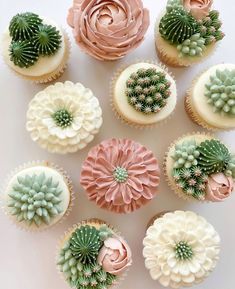 cupcakes decorated with flowers and succulents are arranged in a circle