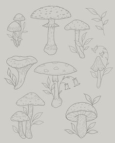 the different types of mushrooms are shown in black and white