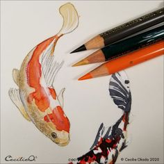 two pencils are laying next to a drawing of a fish and a koi