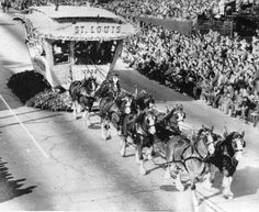 a group of people riding on the back of horses pulling a carriage down a street