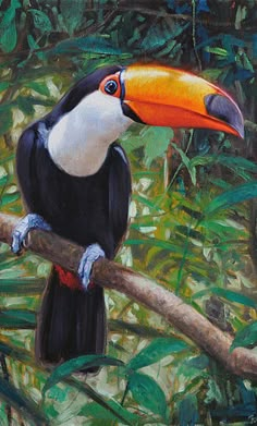 a painting of a toucan perched on a branch