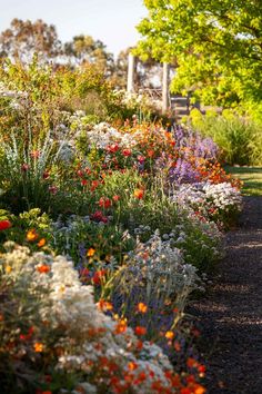 a garden filled with lots of colorful flowers