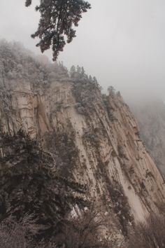 the top of a mountain covered in fog and snow with pine trees on each side