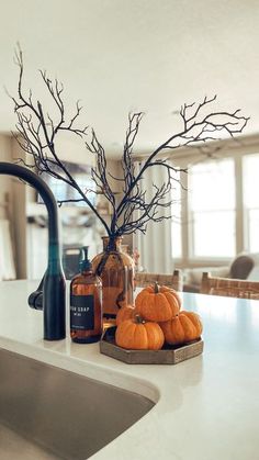 a kitchen counter with bottles and pumpkins on it