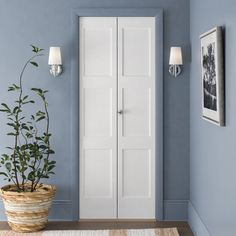 a potted plant sitting on top of a rug next to a tall white door