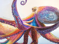 an octopus is in the middle of a painting