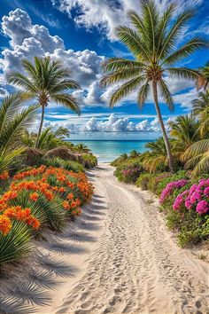 an image of a tropical beach scene with flowers and palm trees in the foreground