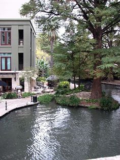 a river running through a lush green park next to a tall building with lots of windows