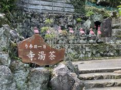 there are many pink birds sitting on the rocks