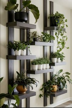 some plants that are sitting on shelves in the wall next to each other with potted plants