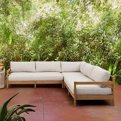 a white couch sitting on top of a wooden floor next to a potted plant