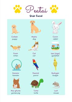 a poster with animals and their names on it's front cover, including the words pet