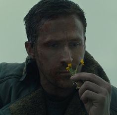 Ryan Gosling Sigma, Blade Runner 2049 Icons, Ryan Gosling Icon, Ryan Gosling Blade Runner 2049, Dark Blade, Denis Villeneuve, Sigma Male