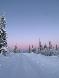 a snow covered road surrounded by trees under a pink and blue sky in the distance