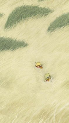 two small animals are walking through the grass