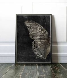 a black and white photo of a butterfly on a wooden floor next to a wall