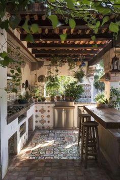 an outdoor kitchen with potted plants on the counter