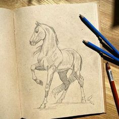 a drawing of a horse is shown in an open book with pencils next to it