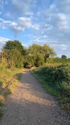 an empty dirt road surrounded by trees and bushes under a blue sky with white clouds