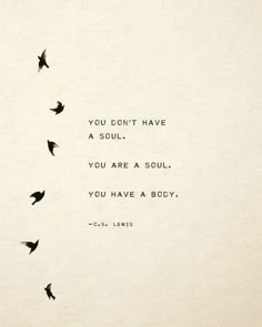 birds flying in the air with a quote written on it that says, you don't have a soul you are a soul you have a body