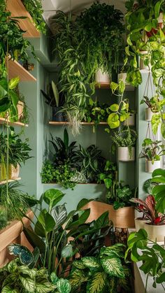 25 House Plants Decoration Ideas for an Urban Jungle Indoor Plants Bedroom, Jungle House, Bathroom Showers, Linear Drain, نباتات منزلية, Plant Decor Indoor, Plant Aesthetic