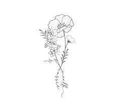 a line drawing of flowers on a white background