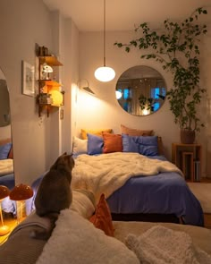 a cat sitting on top of a bed next to a mirror