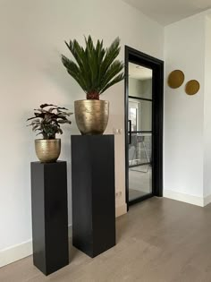 two planters sitting on top of black pedestals in front of a white wall