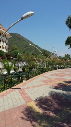 a street light on the side of a road next to some trees and buildings with mountains in the background