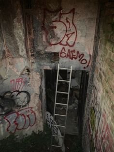 a ladder in an abandoned building with graffiti on the walls and below it is a doorway