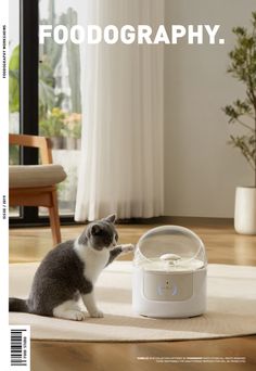 a grey and white cat sitting on the floor next to an air humider