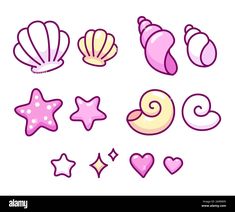 different sea shells and starfishs on white background