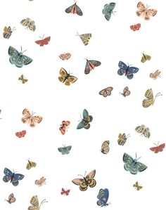 many different colored butterflies flying in the air