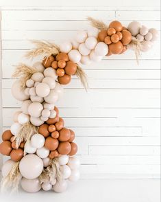 the letter c made out of balloons and wheat stalks is displayed against a white wall