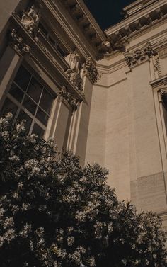 an old building with white flowers growing out of it