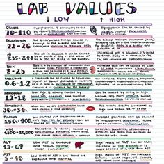 the lab value sheet for students to learn how to use it in their writing skills