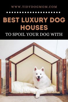 a white dog sitting in his bed with the words best luxury dog houses to spoil your dog