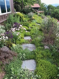 a garden with stepping stones and flowers in the foreground, next to a house