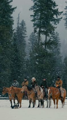 several people on horses in the snow with trees behind them and one man sitting on his horse