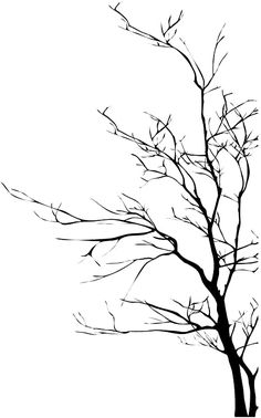 the silhouette of a tree with no leaves