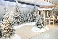 snow covered trees in the middle of a room