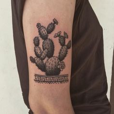 a black and white photo of a cactus tattoo on the right upper half of the arm